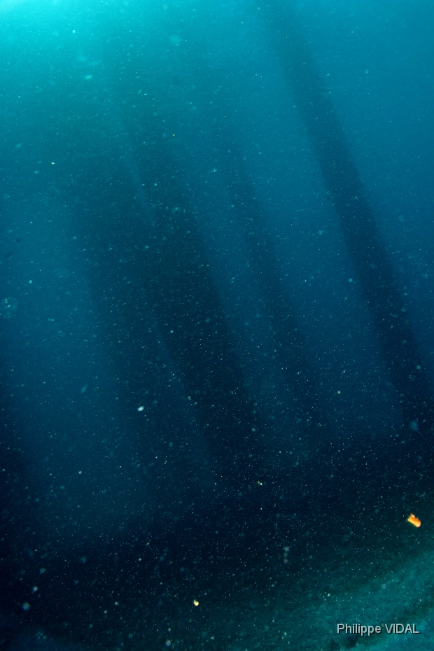 Bali 2016 - Jetty - IMG_6090_rc.jpg